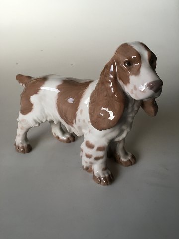 Bing og Grøndahl Figur Cocker Spaniel No. 2095