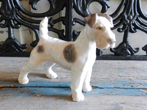 B&G Fox Terrier no. 1998