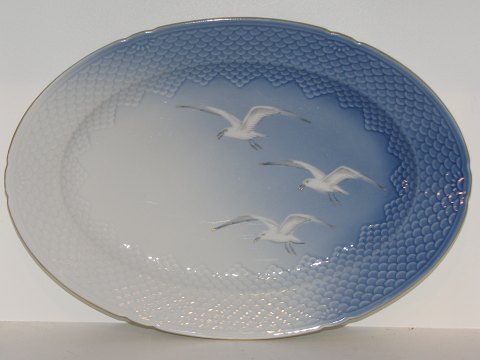 Seagull with gold edge
Large platter 41 cm. #15