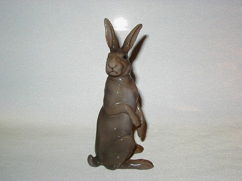 Large and Rare Bing & Grondahl Figurine
Hare