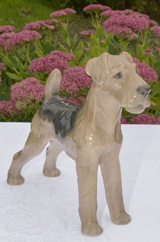 Bing & Gröndahl Figur 2030 Hund
