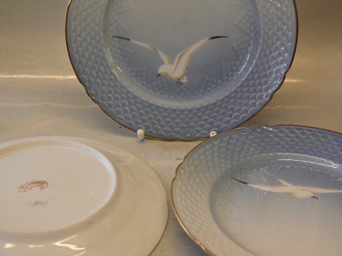 Antique Original 18th centrury B&G Seagull Porcelain with gold  025 Dinnerplates 
24 cm (325)
