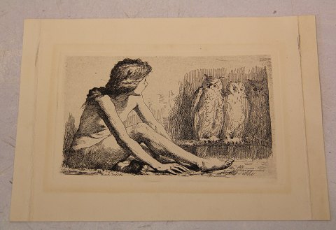 Frans Schwartz 1850-1917, Painter and etchings # 107. 1901 The girl with owls 
Plate measure  10 x 15.5 cm
