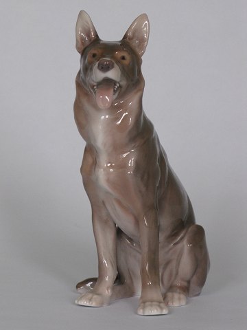 German shepherd
B & G
Porcelain