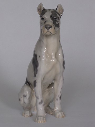 Grand Danois
B & G
Porcelæn