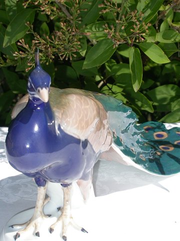 Bing & Gröndahl Figur 1628 Pfau