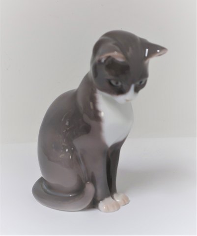 Bing & Grondahl. Porzellanfigur. Katze. Modell 1876. Höhe 12,5 cm. (2. 
Sortieren)