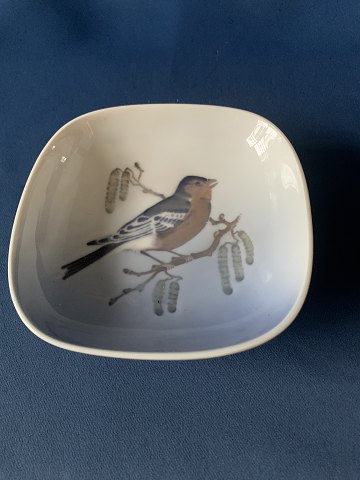 Bowl/plate from Royal Copenhagen, with a motif of a chaffinch on a branch. 1. 
black, deck no. 4858