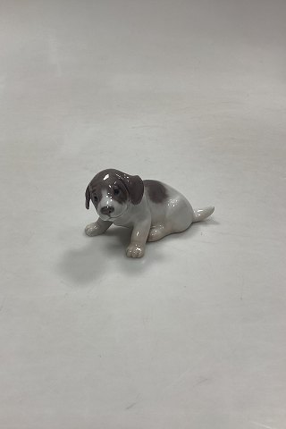 Royal Copenhagen Figurine of Pointer Puppy No. 1311
