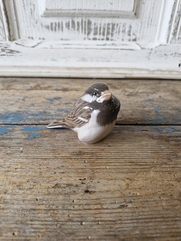 Royal Copenhagen figurine - Sparrowhawk No. 1519