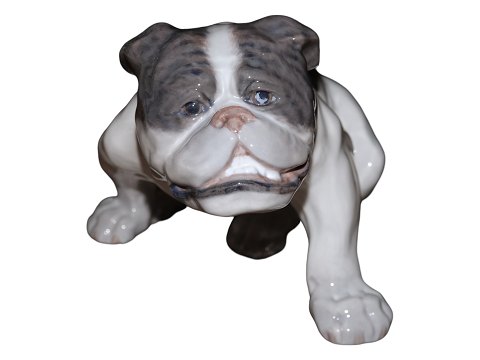 Large and rare Royal Copenhagen dog figurine
English Bulldog from 1898-1923
