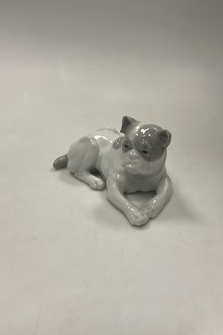 item no: 613379