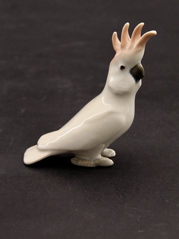 item no: 616043