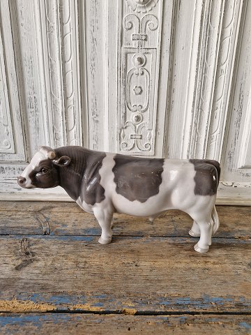 item no: 616479