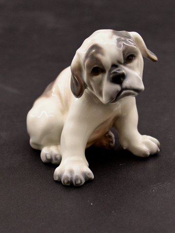 item no: 616792