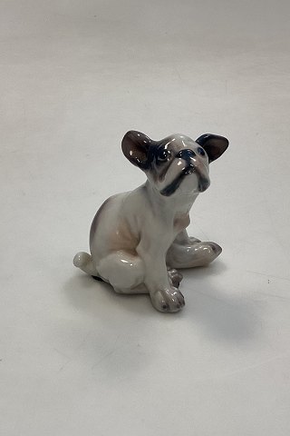 item no: 637162