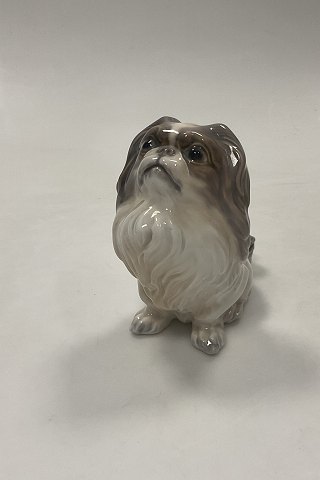item no: 637350