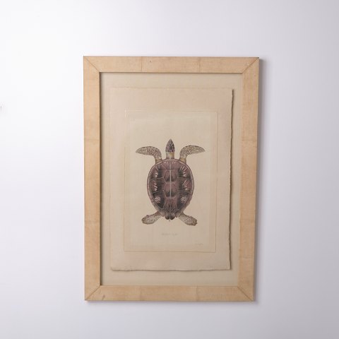 item no: 638910