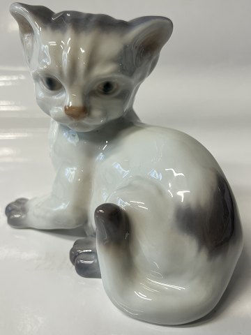 item no: 649013
