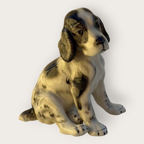 item no: 649033