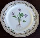 Royal Copenhagen Flora Danica Lunch Plate No 3554