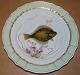 Royal Copenhagen Green Fish Plate No 919/1710