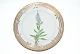 Royal Copenhagen Flora Danica, Salad / Herring plate
SOLD