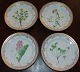 Set of 12 Royal Copenhagen Flora Danica Lunch Plates No 3550 or No 622