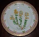 Royal Copenhagen Flora Danica Antique Dinner Plate No 3549