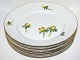 Aconite
Luncheon plate 21.0 cm.