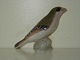 Bing & Grondahl Figure, Linnet (Carduelis cannabina)
SOLD