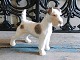 B&G Fox Terrier no. 1998