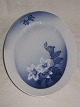 Christmas Rose
Oval dish
B & G