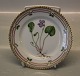 Kongelig Dansk Porcelæn Flora Danica 20-3552 Viola epipsila Ledeb Sidetallerken 
14,5 cm (1969-1974)