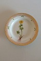 Royal Copenhagen Flora Danica Dessert Tallerken No 20/3551