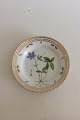 Royal Copenhagen Flora Danica Salat Tallerken No 20/3573