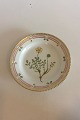 Royal Copenhagen Flora Danica Salat Tallerken No 20/3573