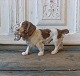 B&G Spaniel no. 2061