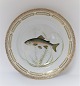 Royal Copenhagen. Fauna Danica. Fisketallerken. Middags tallerken. Model # 19 - 
3549. Diameter 25 cm. (1 sortering). Salmo irideus