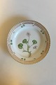 Royal Copenhagen Flora Danica Salat Tallerken No 20/3573