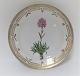 Royal Copenhagen, Flora Danica. Frokost tallerken. Design #623 (3572). Diameter 
22 cm. (1 sortering). Lychnis alpina L