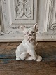 B&G figure - French Bulldog puppy no. 1983