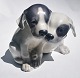Royal Copenhagen figure with two pointer puppies
