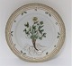 Royal Copenhagen, Flora Danica. Frokost tallerken. Design #3550. Diameter 22 cm. 
(1 sortering).