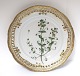 Royal Copenhagen. Flora Danica plate. Diameter 25 cm. (3553). (1 quality). 
Anagallis arvensis L