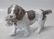 B&G Hundefigur 2061  Spaniel med fugl LJ 25  cm