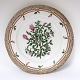 Royal Copenhagen, Flora Danica. Middags tallerken. Design #3549. Diameter 25 cm. 
(1 sortering). Ononis procurrens Wahl