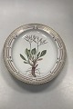 Royal Copenhagen Flora Danica Ovalt Serveringsfad No 3517