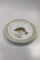 Royal Copenhagen Grøn Fisketallerken No 919/1710 med Micropterus salmonides