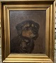 Painting by Niels A. lytzen: Dog Portrait